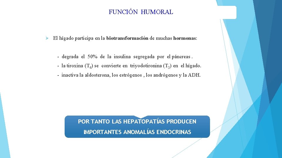 FUNCIÓN HUMORAL Ø El hígado participa en la biotransformación de muchas hormonas: hormonas -