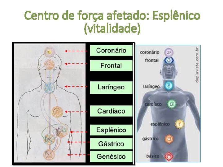 Centro de força afetado: Esplênico (vitalidade) 
