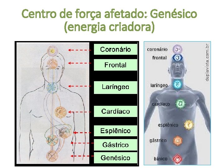Centro de força afetado: Genésico (energia criadora) 