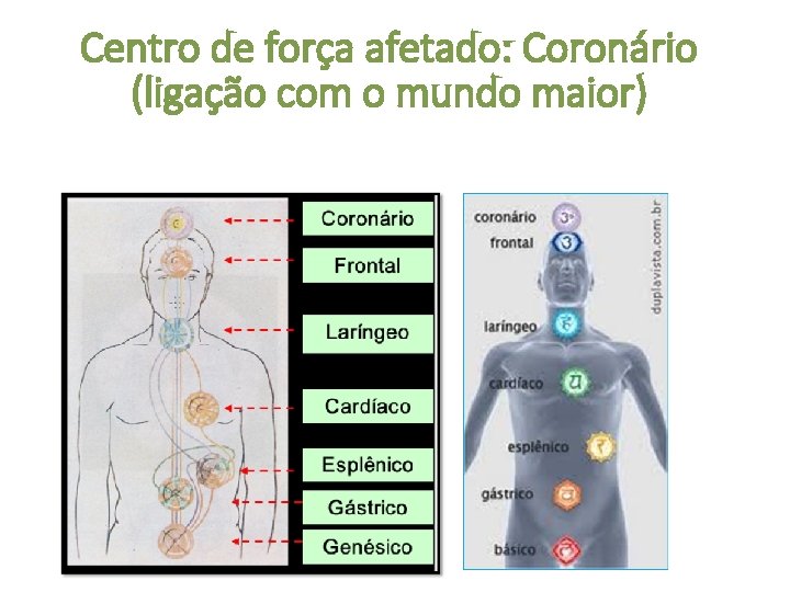 Centro de força afetado: Coronário (ligação com o mundo maior) 