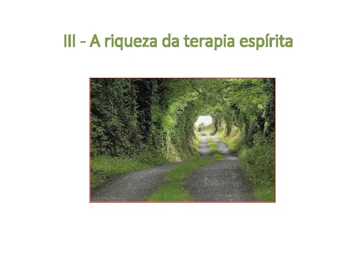 III - A riqueza da terapia espírita 