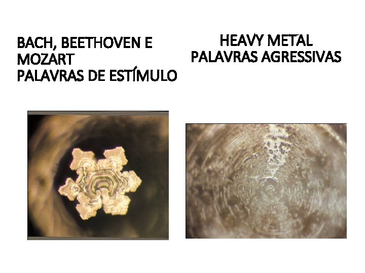 HEAVY METAL BACH, BEETHOVEN E PALAVRAS AGRESSIVAS MOZART PALAVRAS DE ESTÍMULO 