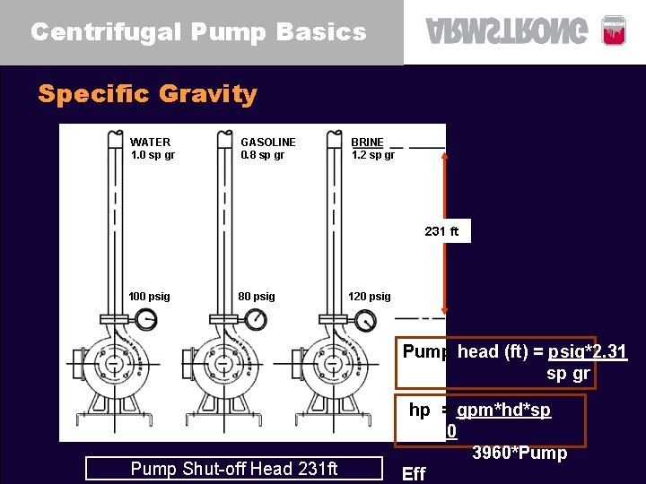 Centrifugal Pump Basics Specific Gravity WATER 1. 0 sp gr GASOLINE 0. 8 sp