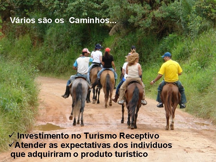 Vários são os Caminhos. . . ü Investimento no Turismo Receptivo üAtender as expectativas