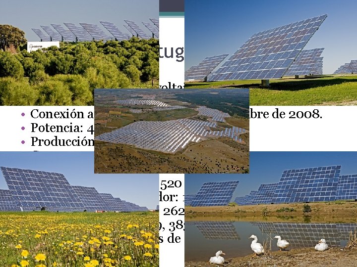 Amareleja, Portugal. • Tecnología: Solar fotovoltaica con seguimiento acimutal. • Conexión a red: Completada
