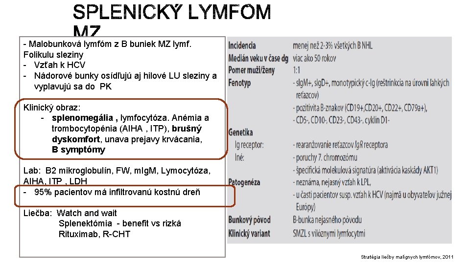 - Malobunková lymfóm z B buniek MZ lymf. Folikulu sleziny - Vzťah k HCV