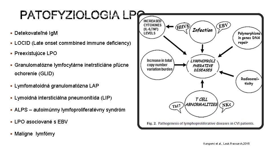 § Detekovateľné Ig. M § LOCID (Late onset commbined immune deficiency) § Preexistujúce LPO