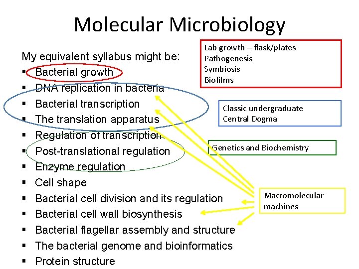 Molecular Microbiology Lab growth – flask/plates Pathogenesis Symbiosis Biofilms My equivalent syllabus might be: