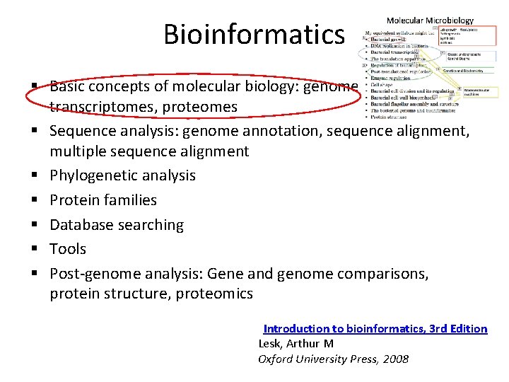 Bioinformatics § Basic concepts of molecular biology: genomes, transcriptomes, proteomes § Sequence analysis: genome