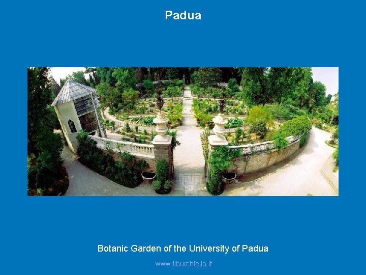 Padua Botanic Garden of the University of Padua www. ilburchiello. it 