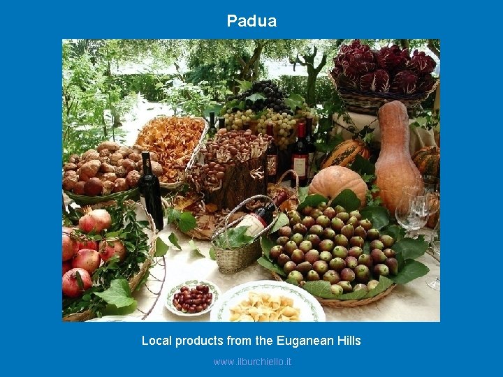 Padua Local products from the Euganean Hills www. ilburchiello. it 