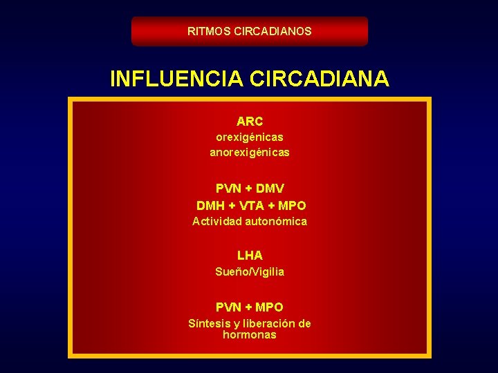 RITMOS CIRCADIANOS INFLUENCIA CIRCADIANA ARC orexigénicas anorexigénicas PVN + DMV DMH + VTA +