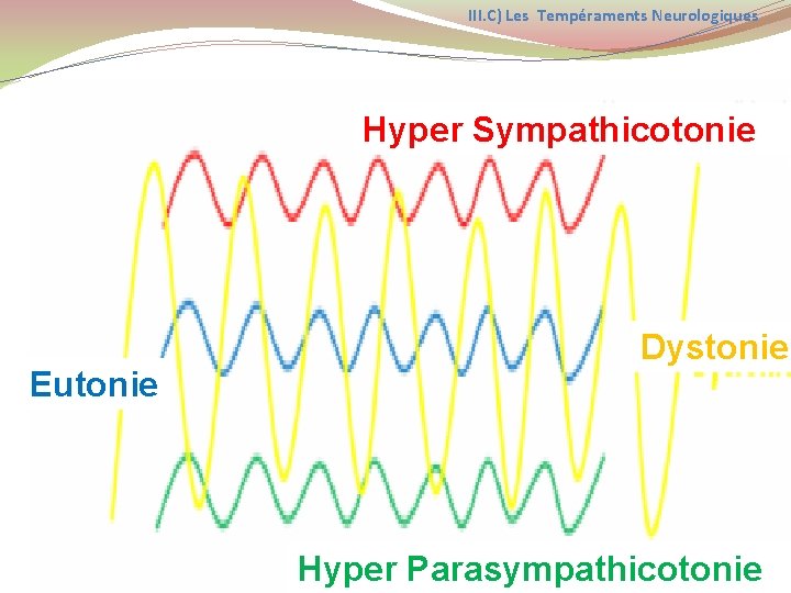 III. C) Les Tempéraments Neurologiques Hyper Sympathicotonie Dystonie Eutonie 2010 Hyper Parasympathicotonie Marie Josèphe