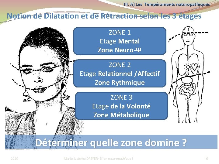 III. A) Les Tempéraments naturopathiques Notion de Dilatation et de Rétraction selon les 3