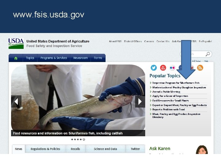 www. fsis. usda. gov  www. fsis. usda. gov