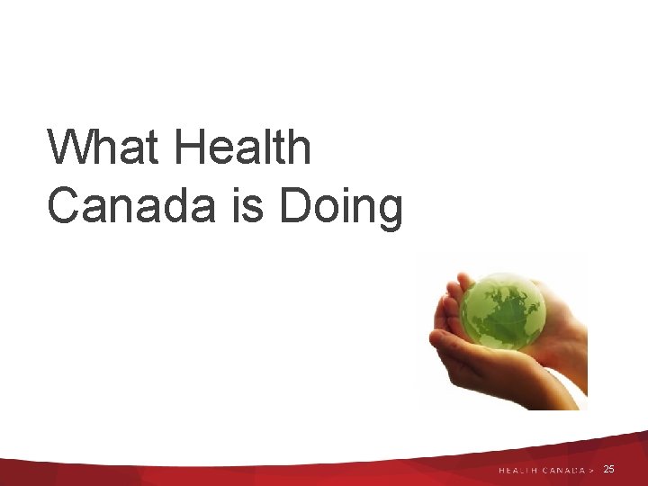 What Health Canada is Doing 25 