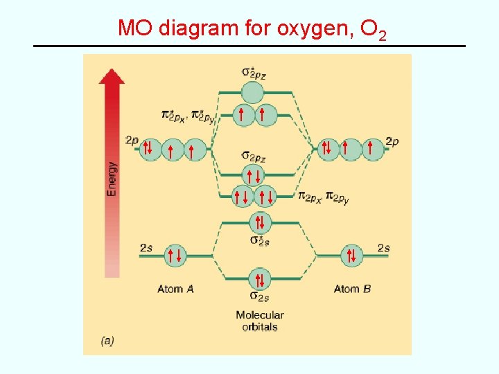 MO diagram for oxygen, O 2 