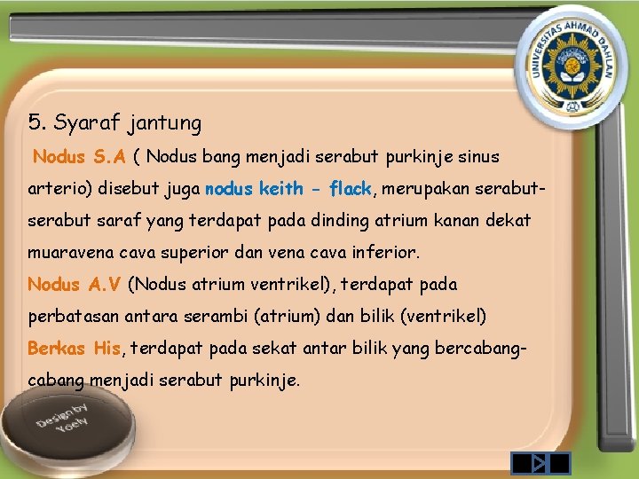 5. Syaraf jantung Nodus S. A ( Nodus bang menjadi serabut purkinje sinus arterio)