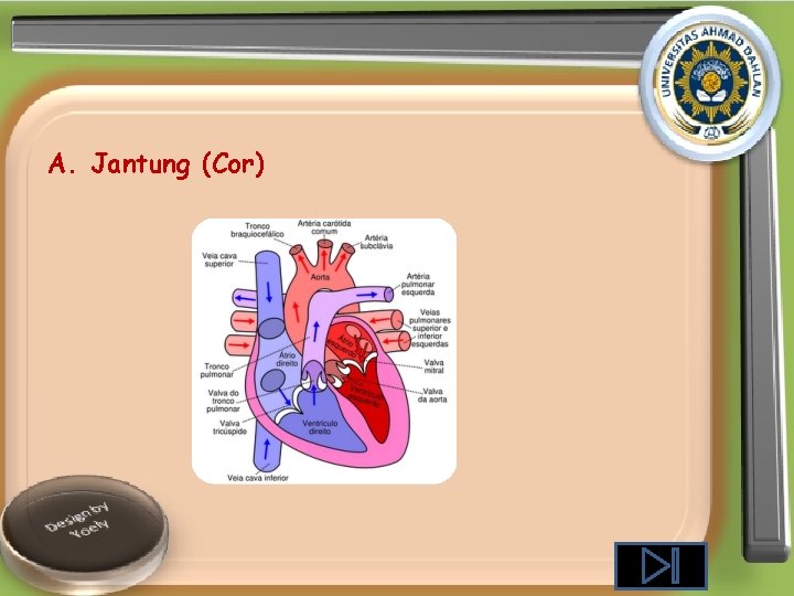 A. Jantung (Cor) 