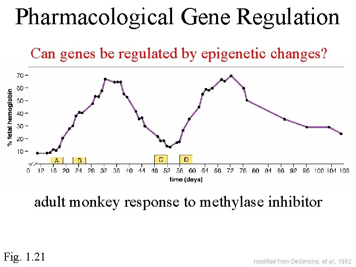 Pharmacological Gene Regulation Can genes be regulated by epigenetic changes? adult monkey response to