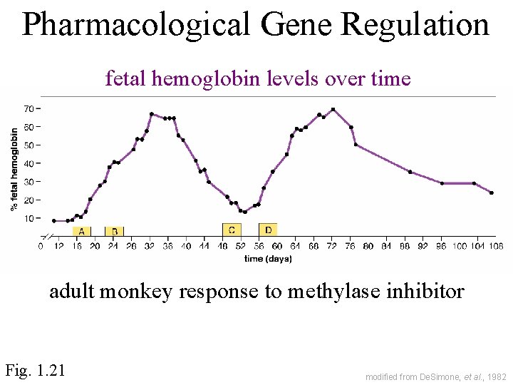 Pharmacological Gene Regulation fetal hemoglobin levels over time adult monkey response to methylase inhibitor