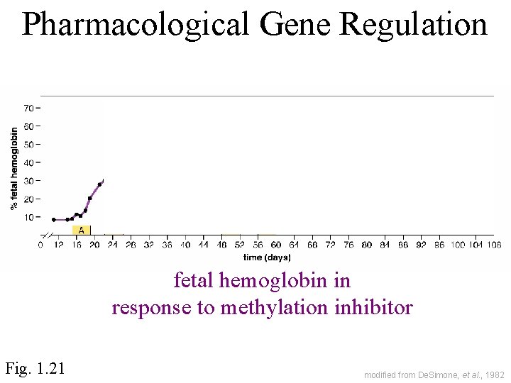Pharmacological Gene Regulation fetal hemoglobin in response to methylation inhibitor Fig. 1. 21 modified