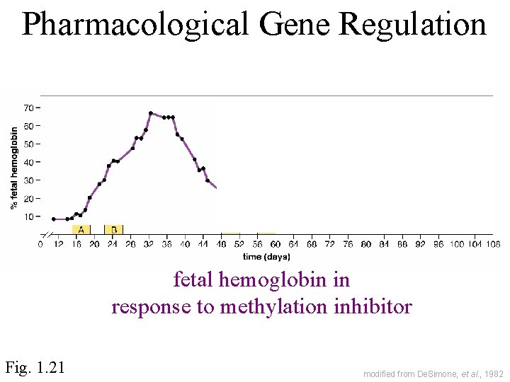 Pharmacological Gene Regulation fetal hemoglobin in response to methylation inhibitor Fig. 1. 21 modified