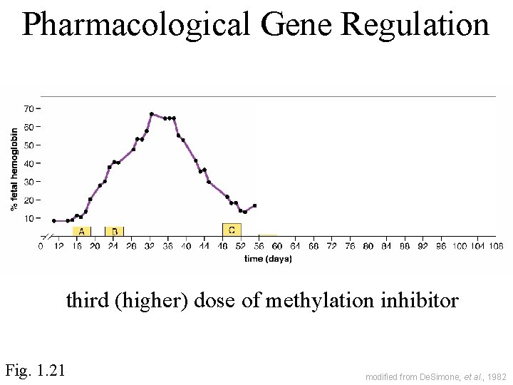 Pharmacological Gene Regulation third (higher) dose of methylation inhibitor Fig. 1. 21 modified from