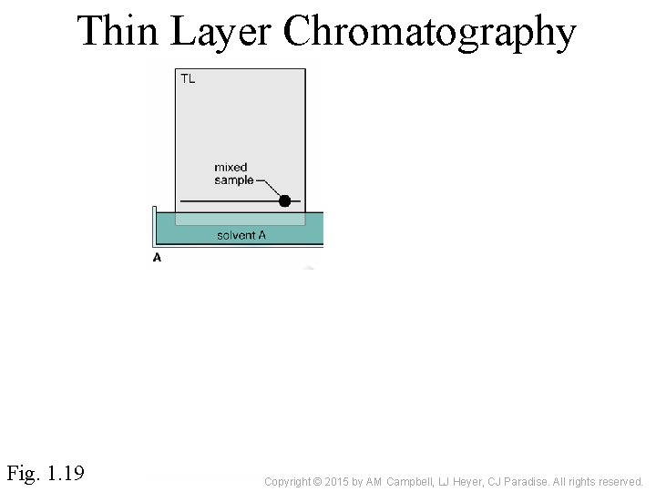 Thin Layer Chromatography Fig. 1. 19 Copyright © 2015 by AM Campbell, LJ Heyer,