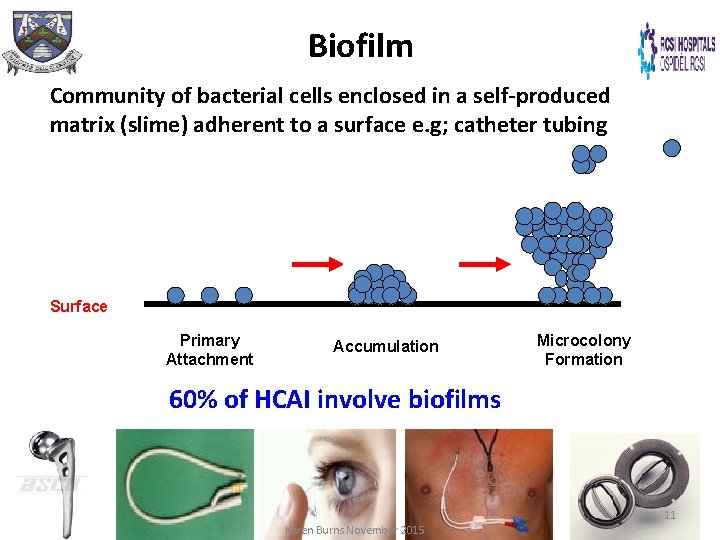 Biofilm Community of bacterial cells enclosed in a self-produced matrix (slime) adherent to a