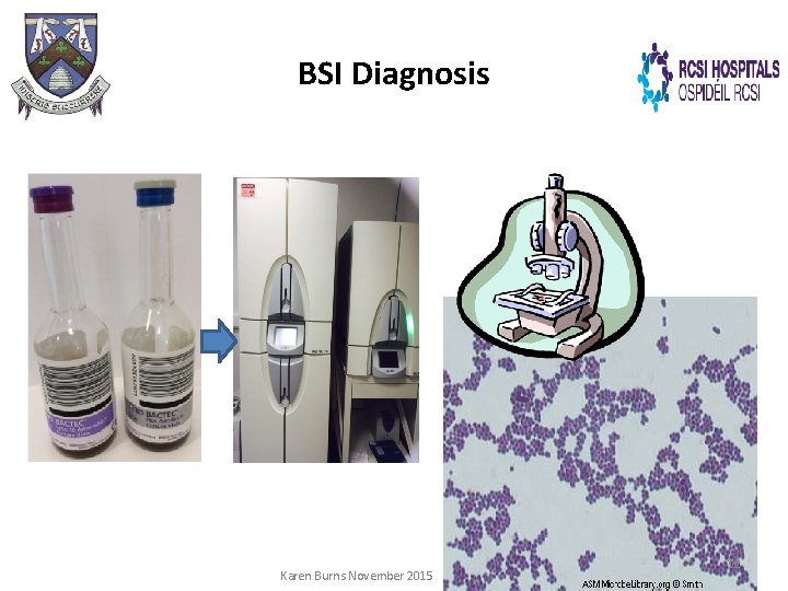 BSI Diagnosis Karen Burns November 2015 12 