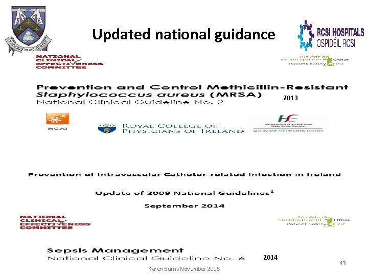 Updated national guidance 2013 2014 Karen Burns November 2015 43 