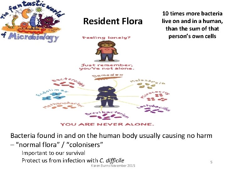 Resident Flora 10 times more bacteria live on and in a human, than the