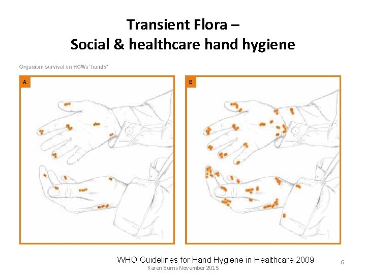 Transient Flora – Social & healthcare hand hygiene WHO Guidelines for Hand Hygiene in