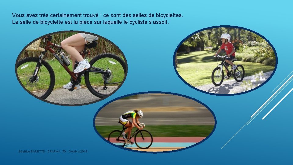 Vous avez très certainement trouvé : ce sont des selles de bicyclettes. La selle