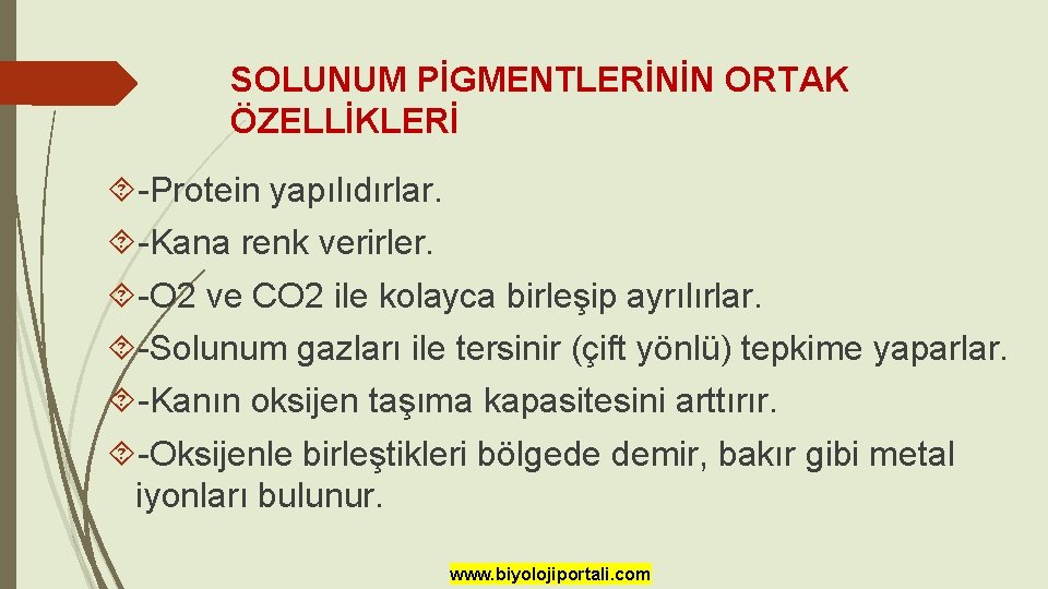 SOLUNUM PİGMENTLERİNİN ORTAK ÖZELLİKLERİ -Protein yapılıdırlar. -Kana renk verirler. -O 2 ve CO 2