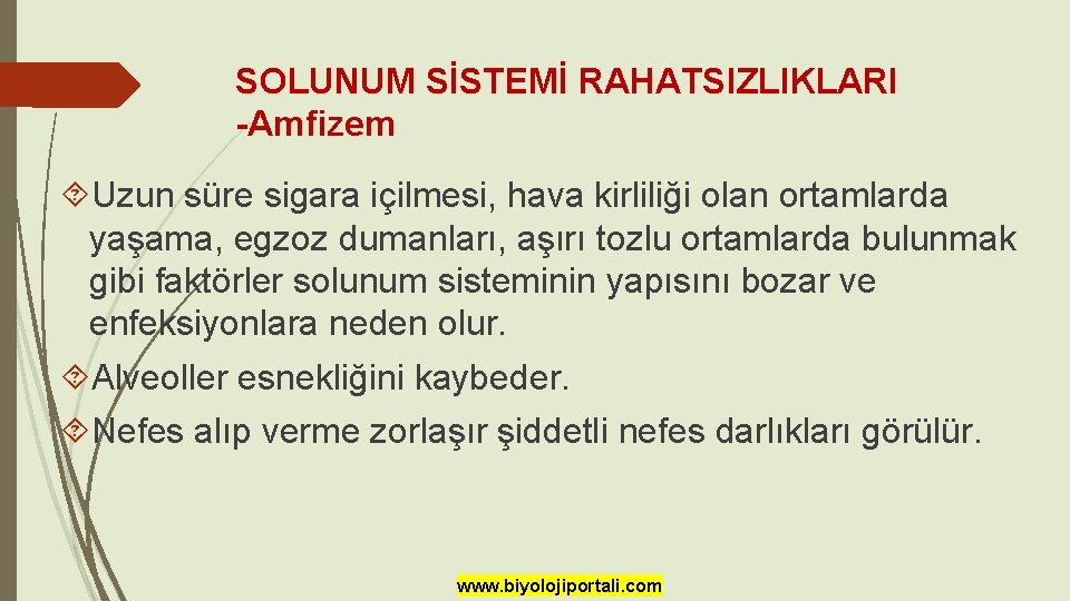 SOLUNUM SİSTEMİ RAHATSIZLIKLARI -Amfizem Uzun süre sigara içilmesi, hava kirliliği olan ortamlarda yaşama, egzoz SOLUNUM SİSTEMİ RAHATSIZLIKLARI -Amfizem Uzun süre sigara içilmesi, hava kirliliği olan ortamlarda yaşama, egzoz