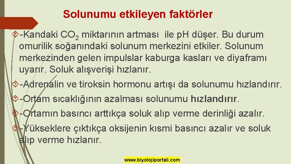 Solunumu etkileyen faktörler -Kandaki CO 2 miktarının artması ile p. H düşer. Bu durum