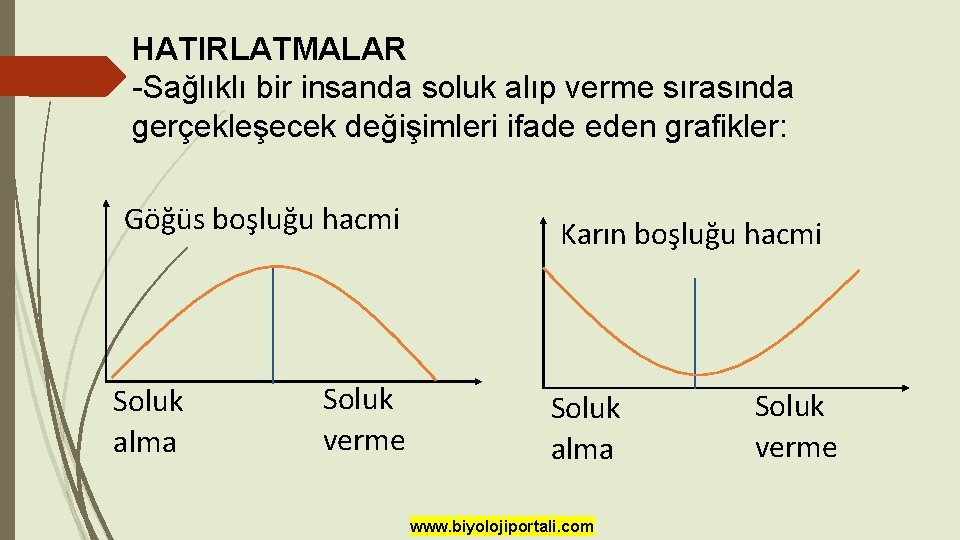 HATIRLATMALAR -Sağlıklı bir insanda soluk alıp verme sırasında gerçekleşecek değişimleri ifade eden grafikler: Göğüs HATIRLATMALAR -Sağlıklı bir insanda soluk alıp verme sırasında gerçekleşecek değişimleri ifade eden grafikler: Göğüs