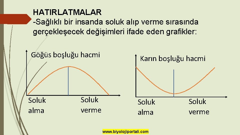 HATIRLATMALAR -Sağlıklı bir insanda soluk alıp verme sırasında gerçekleşecek değişimleri ifade eden grafikler: Göğüs