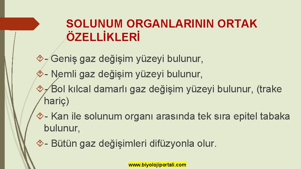 SOLUNUM ORGANLARININ ORTAK ÖZELLİKLERİ - Geniş gaz değişim yüzeyi bulunur, - Nemli gaz değişim SOLUNUM ORGANLARININ ORTAK ÖZELLİKLERİ - Geniş gaz değişim yüzeyi bulunur, - Nemli gaz değişim