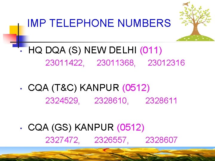IMP TELEPHONE NUMBERS • HQ DQA (S) NEW DELHI (011) 23011422, 23011368, 23012316 •