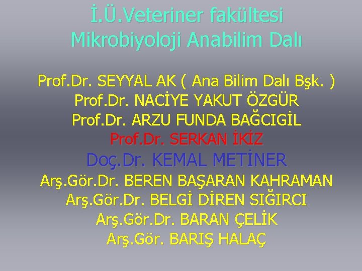 İ. Ü. Veteriner fakültesi Mikrobiyoloji Anabilim Dalı Prof. Dr. SEYYAL AK ( Ana Bilim