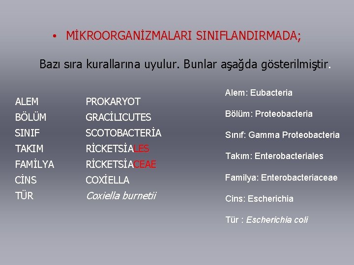  • MİKROORGANİZMALARI SINIFLANDIRMADA; Bazı sıra kurallarına uyulur. Bunlar aşağda gösterilmiştir. Alem: Eubacteria ALEM