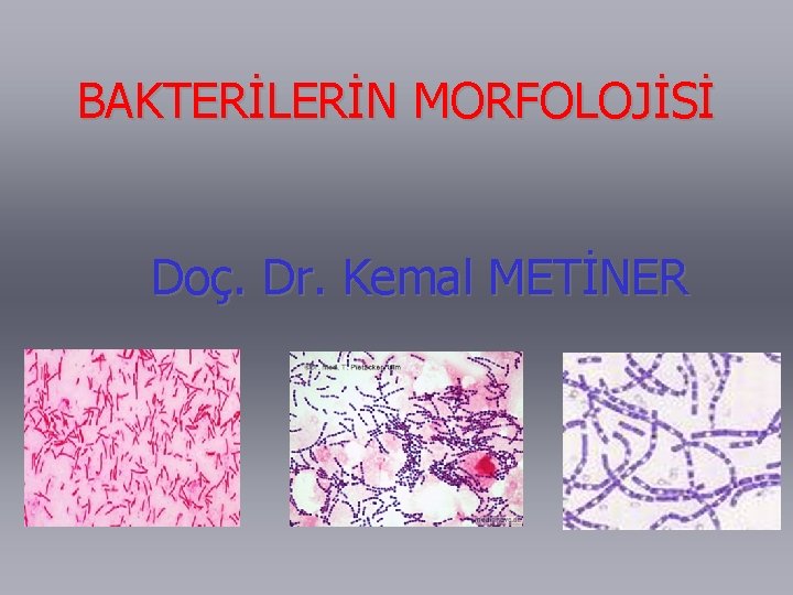 BAKTERİLERİN MORFOLOJİSİ Doç. Dr. Kemal METİNER 