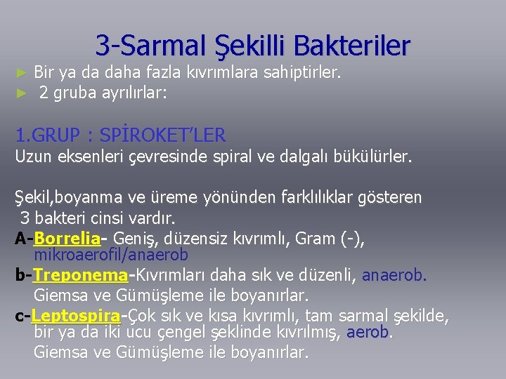 3 -Sarmal Şekilli Bakteriler ► ► Bir ya da daha fazla kıvrımlara sahiptirler. 2