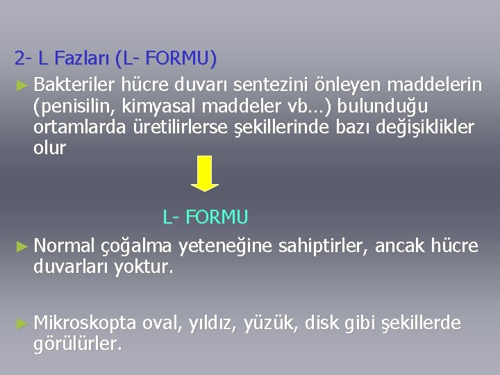 2 - L Fazları (L- FORMU) ► Bakteriler hücre duvarı sentezini önleyen maddelerin (penisilin,