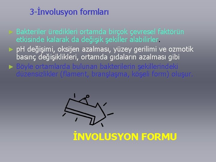 3 -İnvolusyon formları Bakteriler üredikleri ortamda birçok çevresel faktörün etkisinde kalarak da değişik şekiller