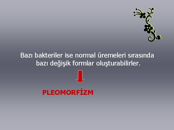 Bazı bakteriler ise normal üremeleri sırasında bazı değişik formlar oluşturabilirler. PLEOMORFİZM 