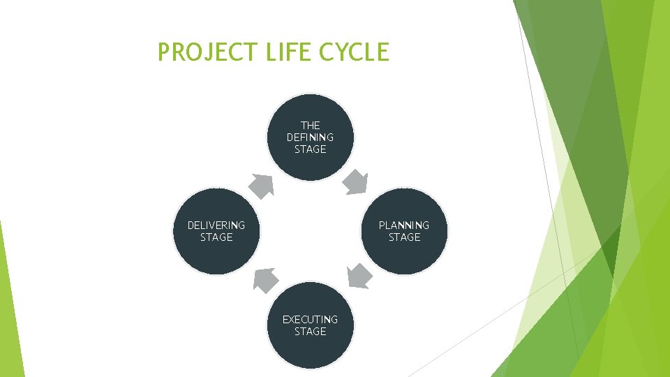 PROJECT LIFE CYCLE THE DEFINING STAGE DELIVERING STAGE PLANNING STAGE EXECUTING STAGE 